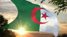 الجزائر ليست للبيع – الدكتور محمد بباعمي